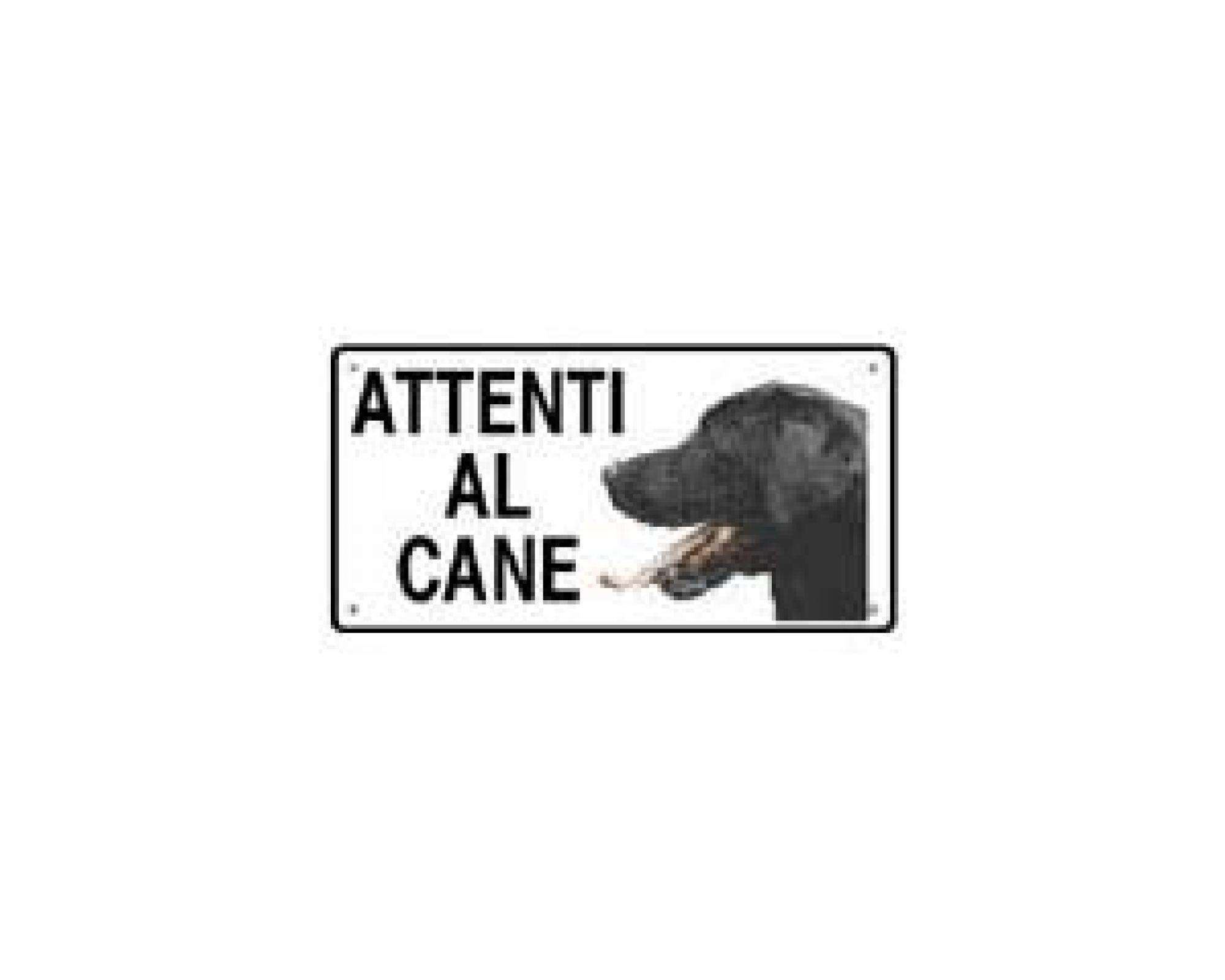 Cartello Attenti al cane - Bull Terrier